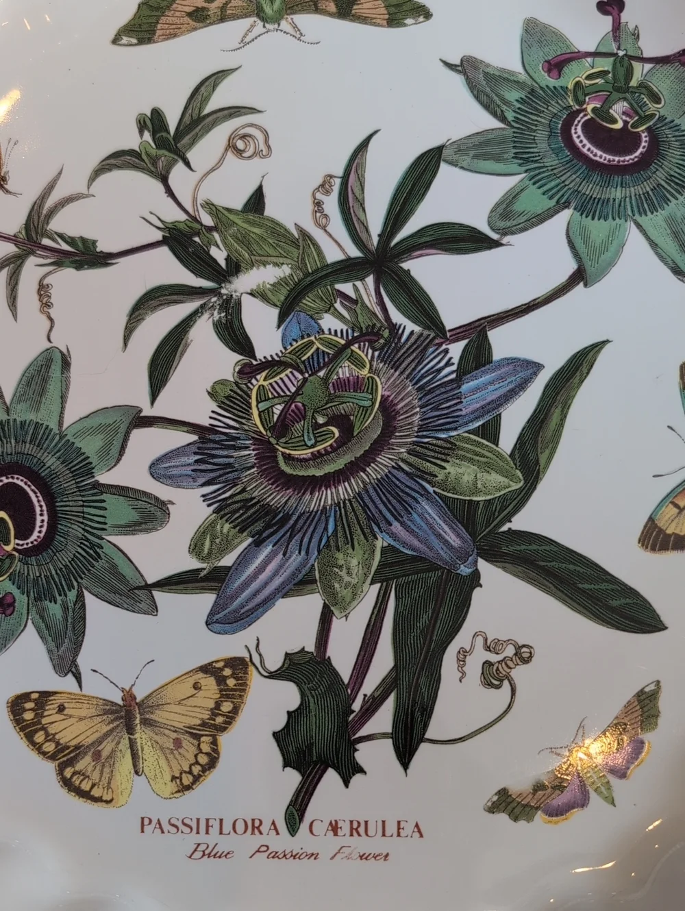 Vintage Portmeirion Fully Vitrified Botanic Garden Blue Passion Flower Oven Dish